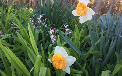 Beginnings…Part Three