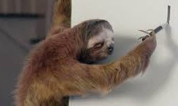 sloth ad