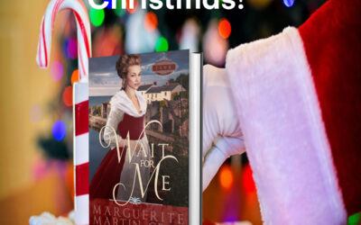 Merry Christmas and New Year’s gift ideas!