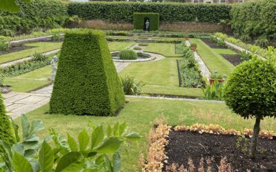 Promise of Purity releases in Six Days