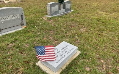 Veterans Day Thoughts