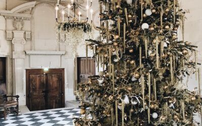 Enter a Giveaway. There’s still time…