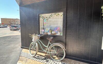 One Role of a Bookstore–A Book Sanctuary